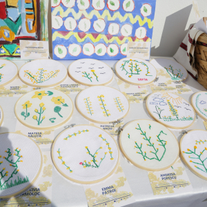 2024.06.13-Spectacol-Povestea-de-Sanziene-4